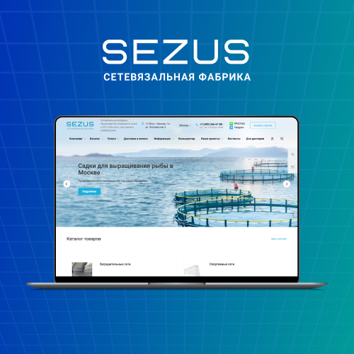 Продвижение сайта Sezus.ru