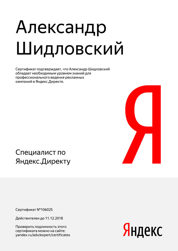 Яндекс.Директ, Александр Шидловский